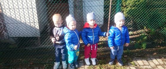 Złote, żółte i czerwone opadają liście z drzew…